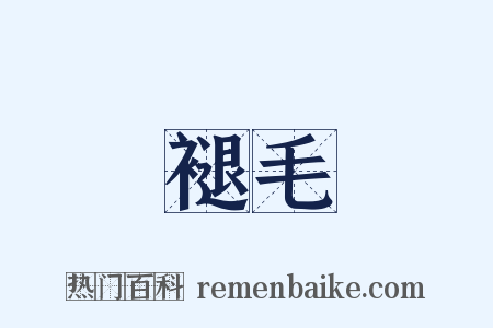 褪毛是什么意思的图片
